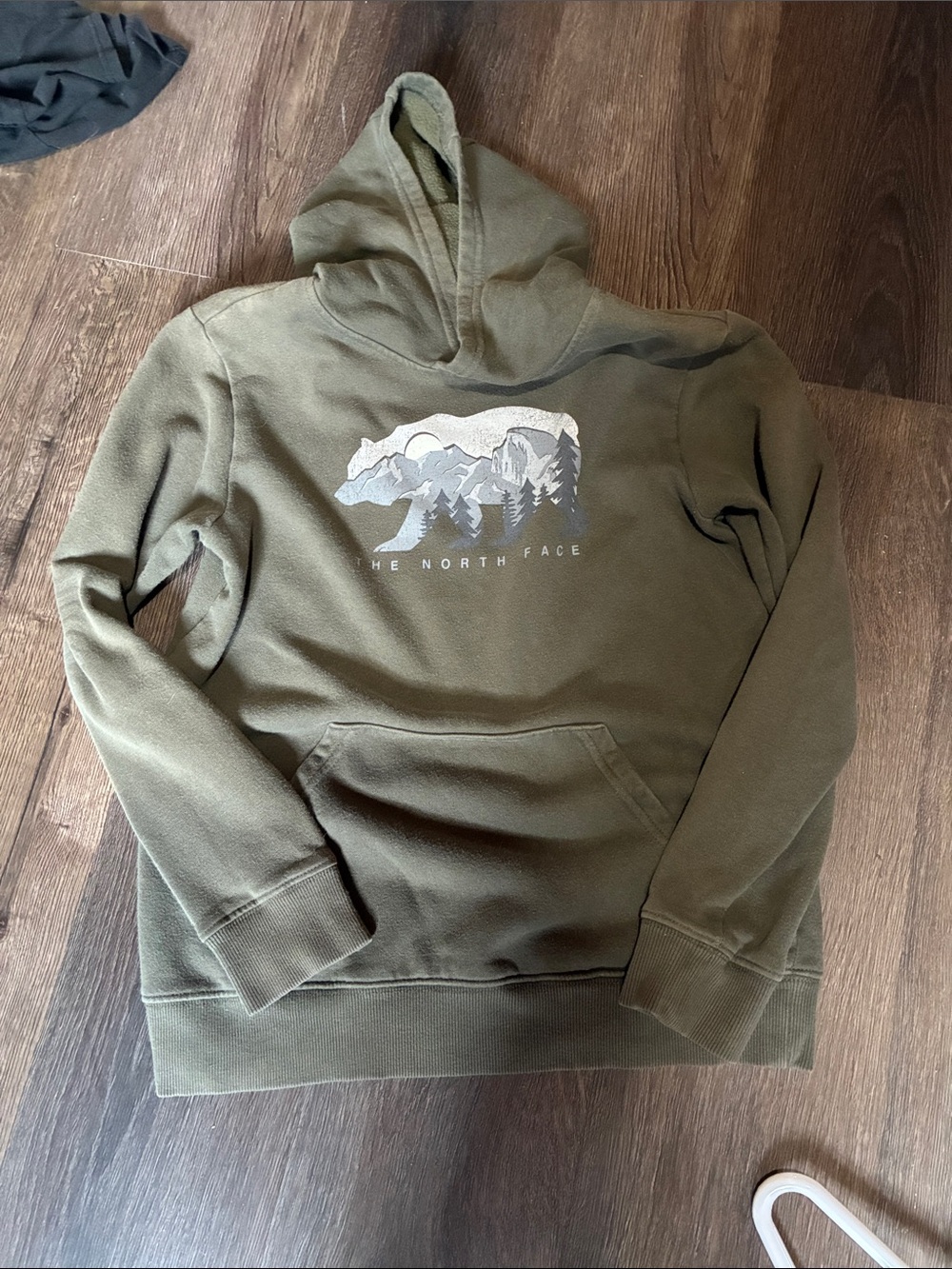 The North Face Olive Green Pullover Hoodie with Mountain Bear Graphic